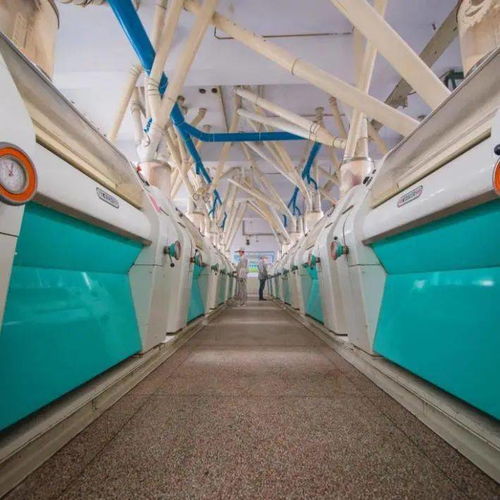 喜訊 省級特色優(yōu)勢食品產(chǎn)業(yè)強鎮(zhèn) 特色優(yōu)質(zhì)食品,我市新增2項省級食品工業(yè)榮譽